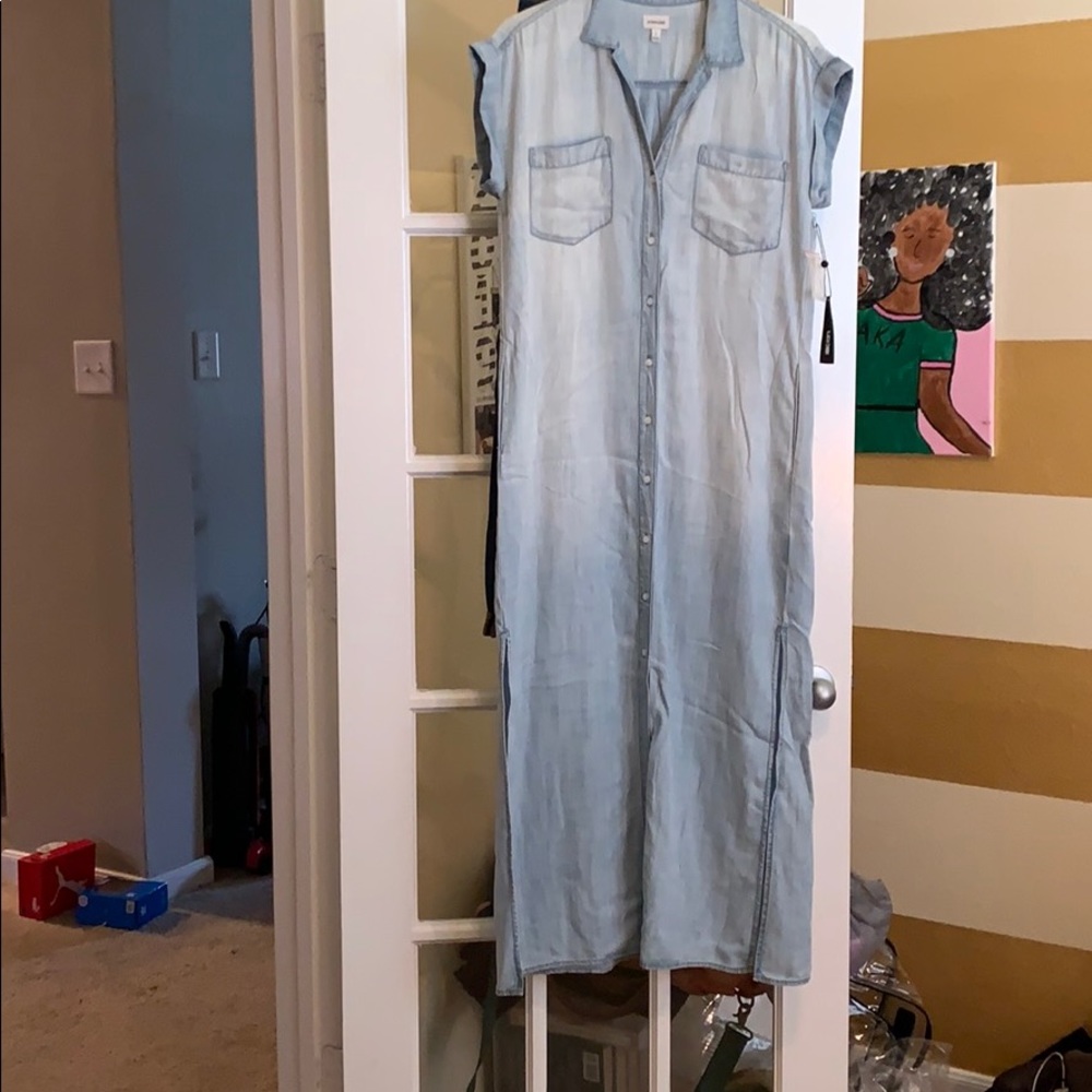 Long Denim dress